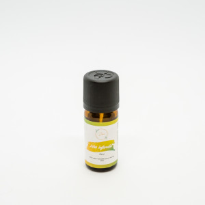 Sinergie Nas Înfundat